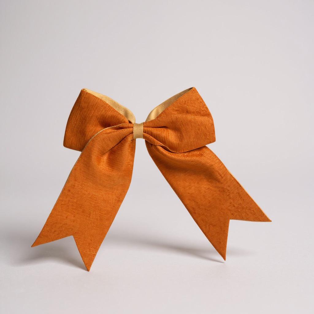 Moño terciopelo Elegante Otoño